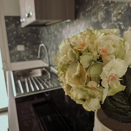 Guest house Soffio Del Salento 3*