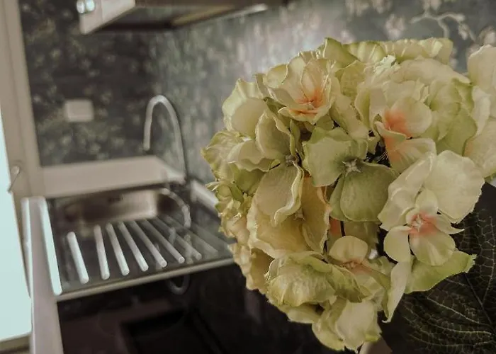 Gæstehus Soffio Del Salento 3*